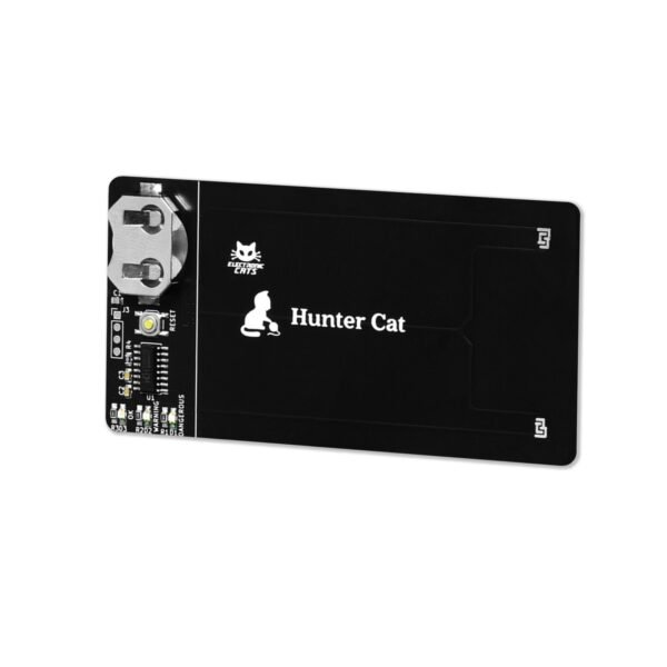 Hunter Cat - Image 3